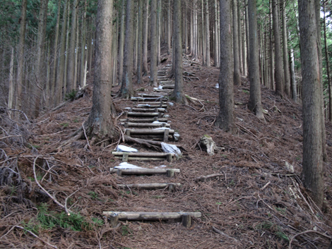 20160121hike (312)